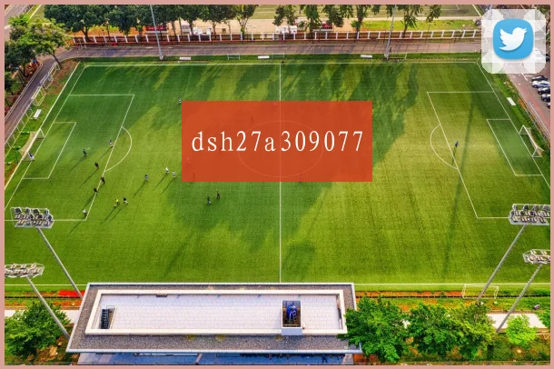 dsh27a309077